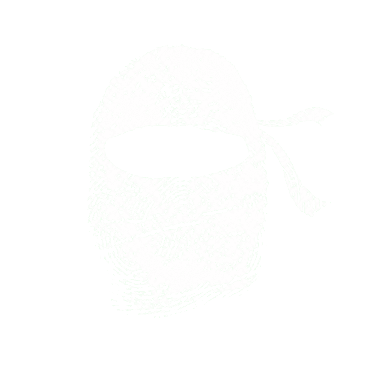 Ninja Group