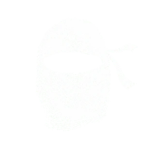 Ninja Group